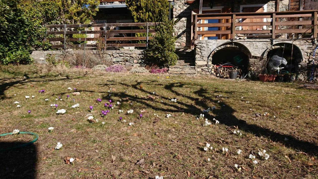 Casa Delle Rose Villa Teglio Eksteriør billede