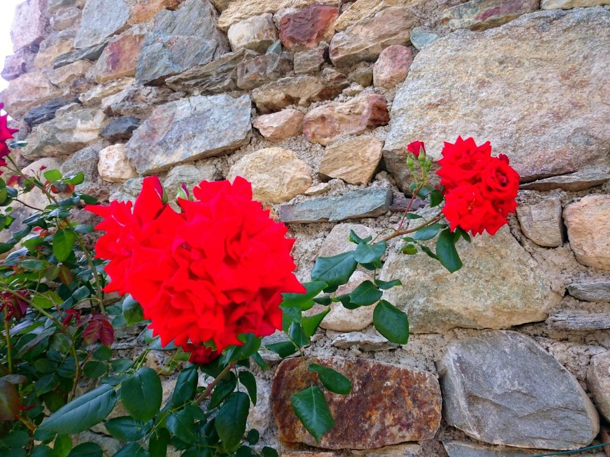 Casa Delle Rose Villa Teglio Eksteriør billede