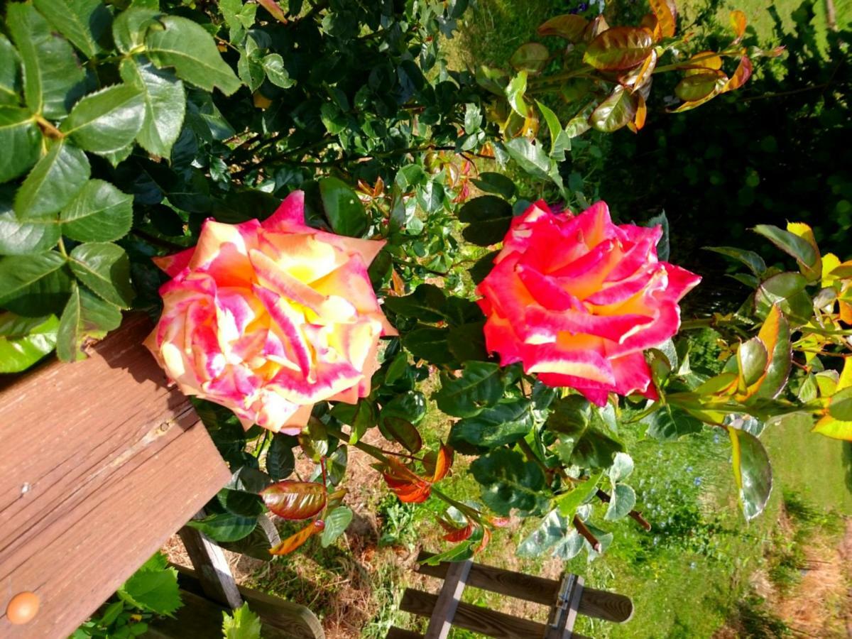 Casa Delle Rose Villa Teglio Eksteriør billede